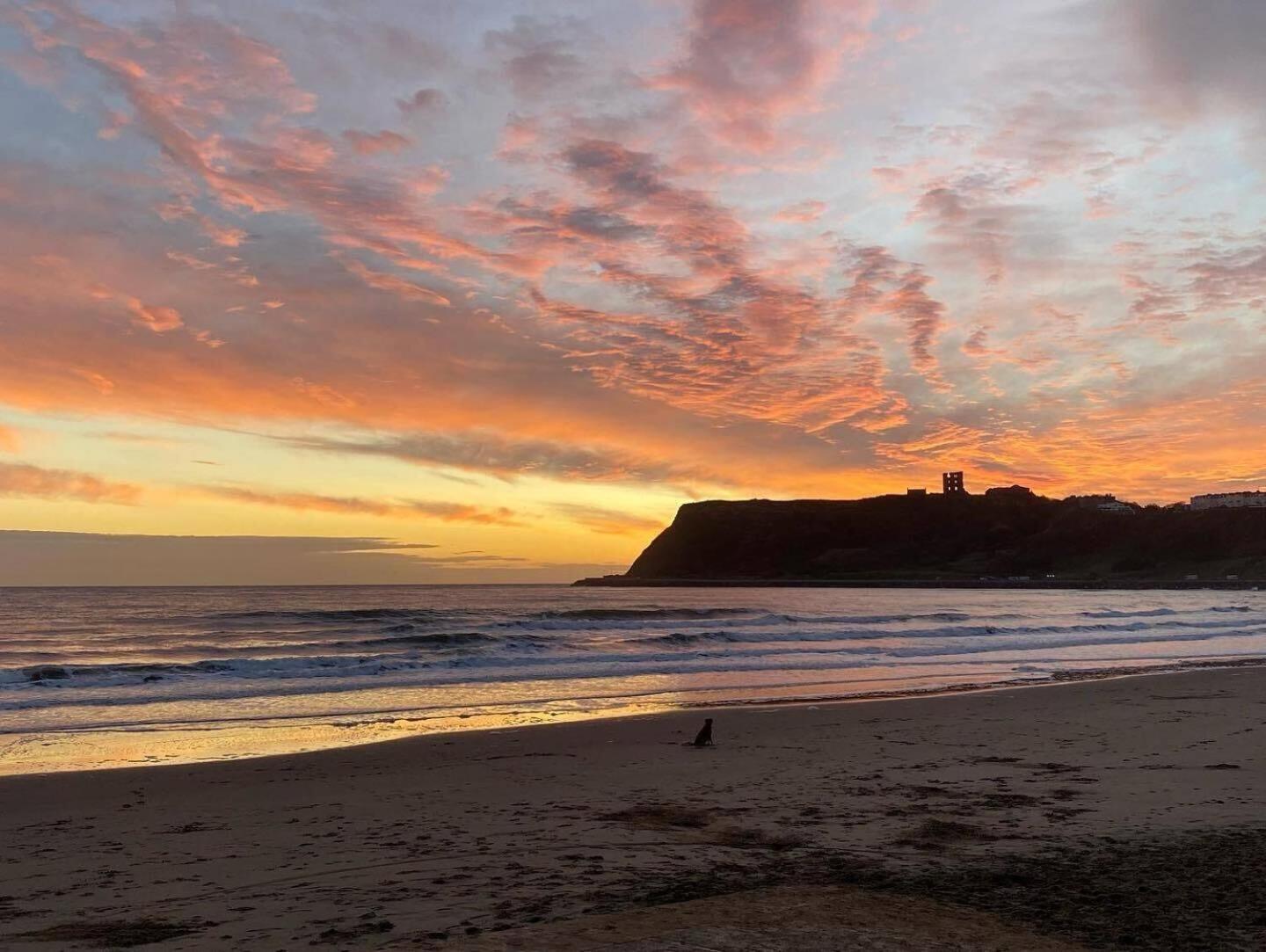 Denelea - Stunning Sea Views! Apartamento Scarborough Exterior foto
